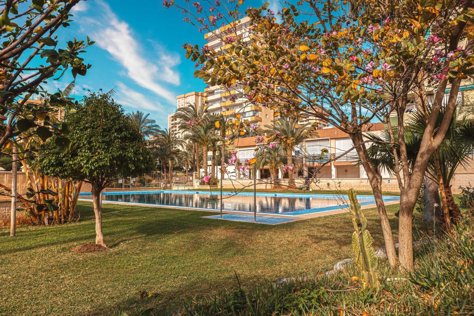 Apartment Brisa Playa